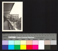 藏品(建築)的圖片