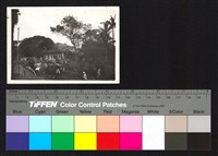 藏品(建築施工)的圖片