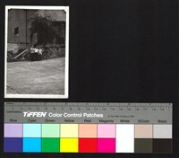 藏品(合照)的圖片