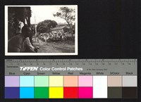 藏品(建築施工)的圖片