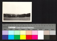 藏品(草原、建築)的圖片