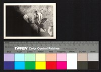 藏品(工作側拍)的圖片