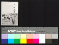 藏品(個人照)的圖片