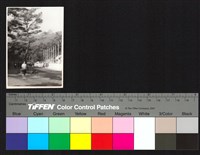 藏品(個人照)的圖片