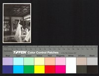 藏品(表演)的圖片