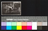 藏品(表演)的圖片