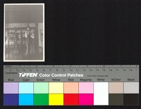 藏品(表演)的圖片