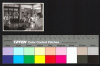 藏品(表演)的圖片