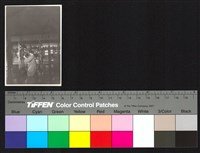 藏品(表演)的圖片