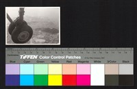 藏品(空中俯瞰)的圖片