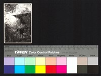 藏品(建築)的圖片