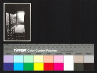 藏品(建築)的圖片