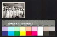 藏品(人物側拍)的圖片