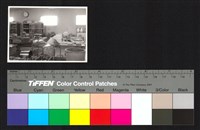 藏品(人物側拍)的圖片