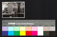 藏品(建築內部)的圖片