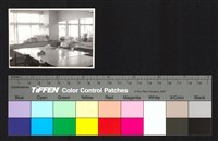 藏品(人物側拍)的圖片