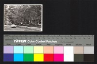 藏品(汽車、道路)的圖片