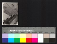 藏品(手扶梯)的圖片