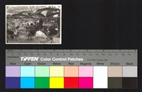 藏品(露天茶座)的圖片