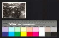 藏品(露天茶座、個人照)的圖片