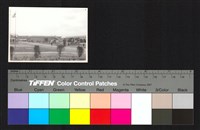 藏品(建築)的圖片