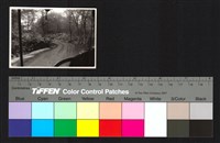 藏品(道路)的圖片