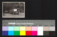 藏品(個人照)的圖片