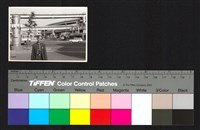 藏品(人物照)的圖片