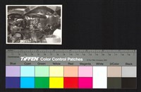 藏品(露天茶座)的圖片