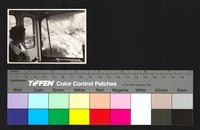 藏品(車上)的圖片