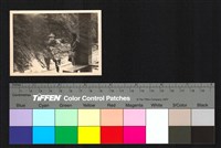 藏品(個人照)的圖片