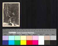 藏品(個人照)的圖片