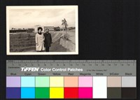 藏品(合照)的圖片