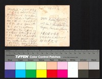 藏品(背面題字)的圖片