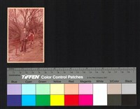 藏品(個人照)的圖片