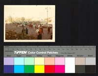 藏品(巴士)的圖片