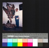 藏品(個人照)的圖片