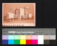 藏品(透視圖)的圖片