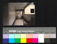 藏品(廊道)的圖片