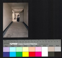 藏品(廊道)的圖片