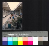 藏品(廊道)的圖片