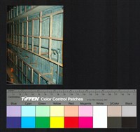 藏品(室內裝修)的圖片