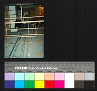 藏品(天花板)的圖片