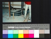 藏品(室內裝修)的圖片