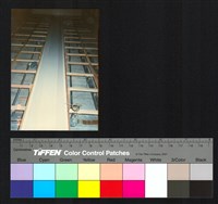 藏品(室內裝修)的圖片