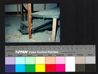 藏品(室內裝修)的圖片