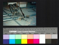 藏品(室內裝修)的圖片