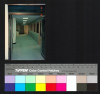 藏品(室內裝修)的圖片