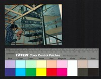 藏品(室內裝修)的圖片