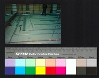 藏品(室內裝修)的圖片